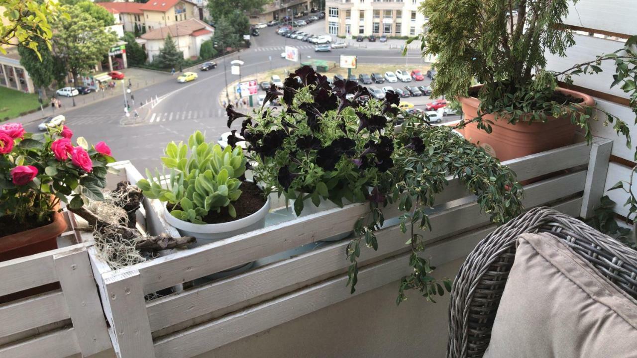 Apartino - Luxury View - Self Check-In 布加勒斯特 外观 照片